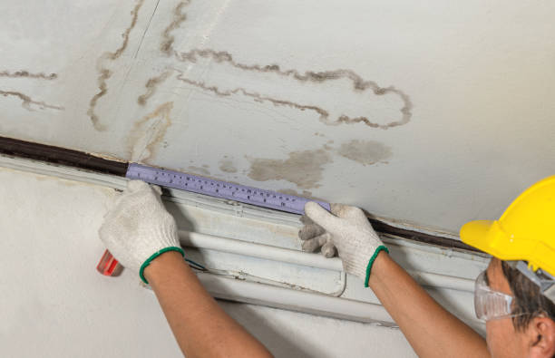 Reliable Basement Water Removal contractor in Gainesville, FL by Water Damage Irwin